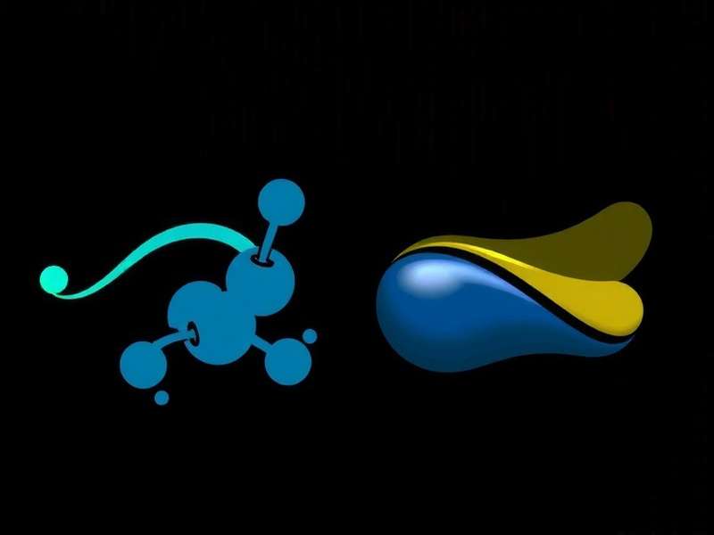 Roar Lucknow Regional Variations